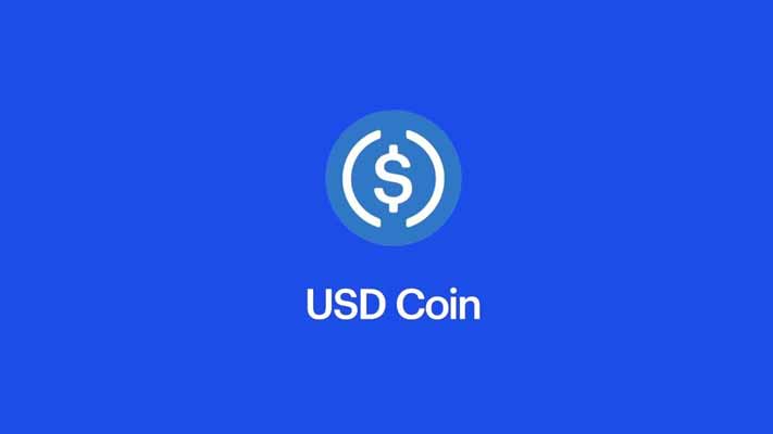USD Coin USDC Cüzdan 