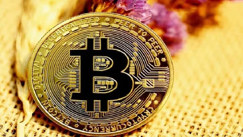 Bitcoin Muslukları Nedir?